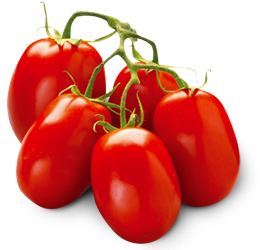Tomatoes PNG-12581
